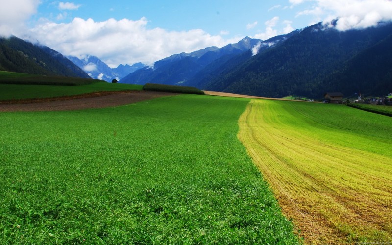 Green Nature Wallpapers HD Pictures