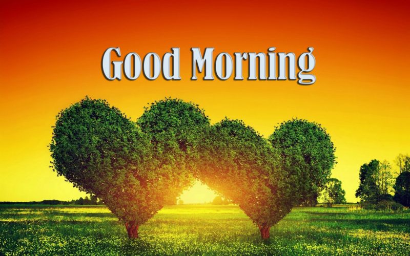 Good Morning Images HD Pictures