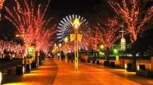 Tokyo City Pictures, Images & Photos