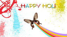Wallpaper Of Holi Festival