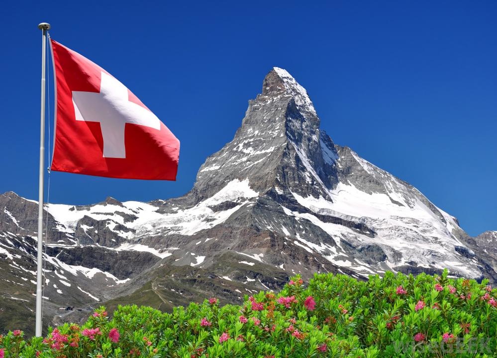 Swiss Flag Pictures, Images & Photos