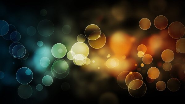 New Top Photography