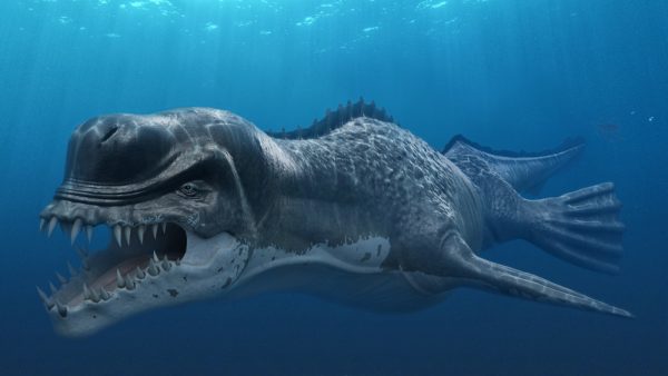 Prehistoric Sea Monster Pictures